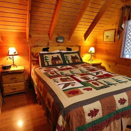 Cute Updated Mountain Cabin Fireplace #3 เฮเลน ภายนอก รูปภาพ