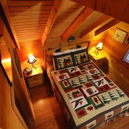Cute Updated Mountain Cabin Fireplace #3 เฮเลน ภายนอก รูปภาพ