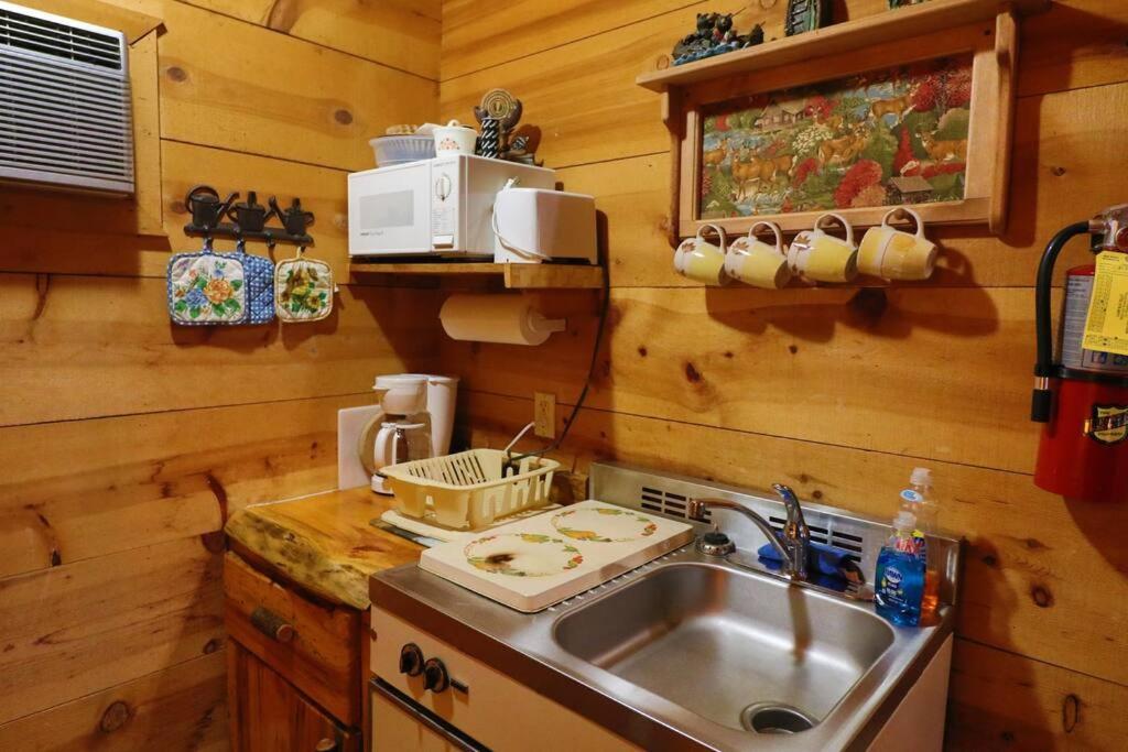Cute Updated Mountain Cabin Fireplace #3 เฮเลน ภายนอก รูปภาพ