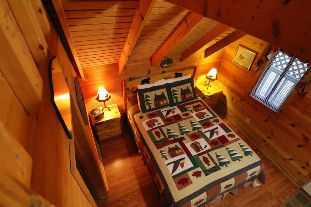 Cute Updated Mountain Cabin Fireplace #3 เฮเลน ภายนอก รูปภาพ